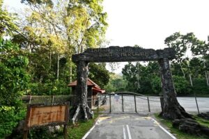 44 taman rimba bukit mertajam 300x200 1