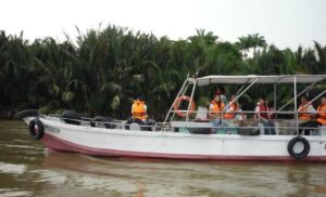 47 firefly sanctuary 300x182 1 1