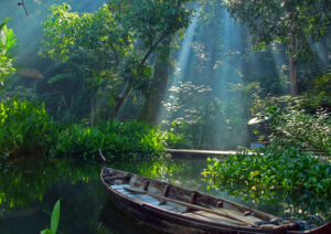 tropical spice garden